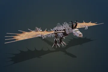 Tooth