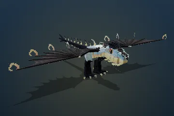 Pied Cormorant
