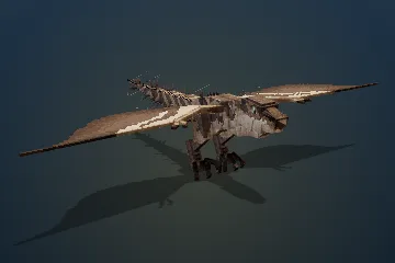 Jp