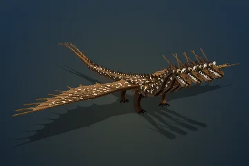 Cocotrapper