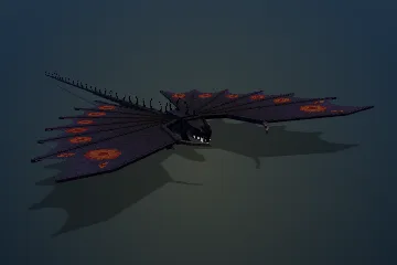 Melanistic Songwing