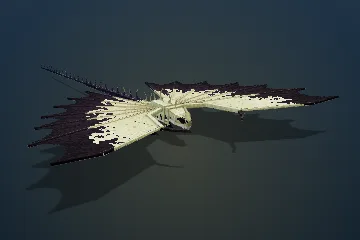 Voidwing