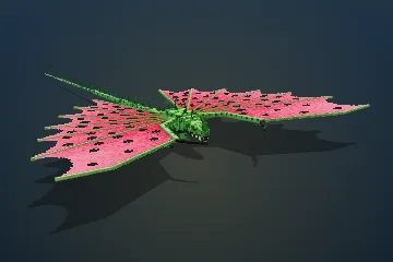 Watermelonwing