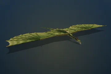Brute Timberjack