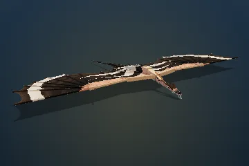 Hoopoe