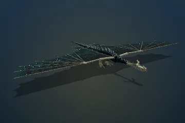 Sculkia