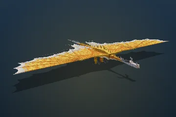 Skywarden