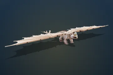 Dune Witchwraith